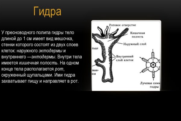 Кракен сайт как выглядит