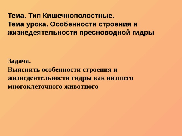 Кракен лег
