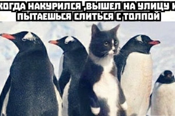 Кракен даркнет слушать