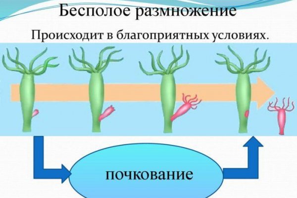 Кракен драг